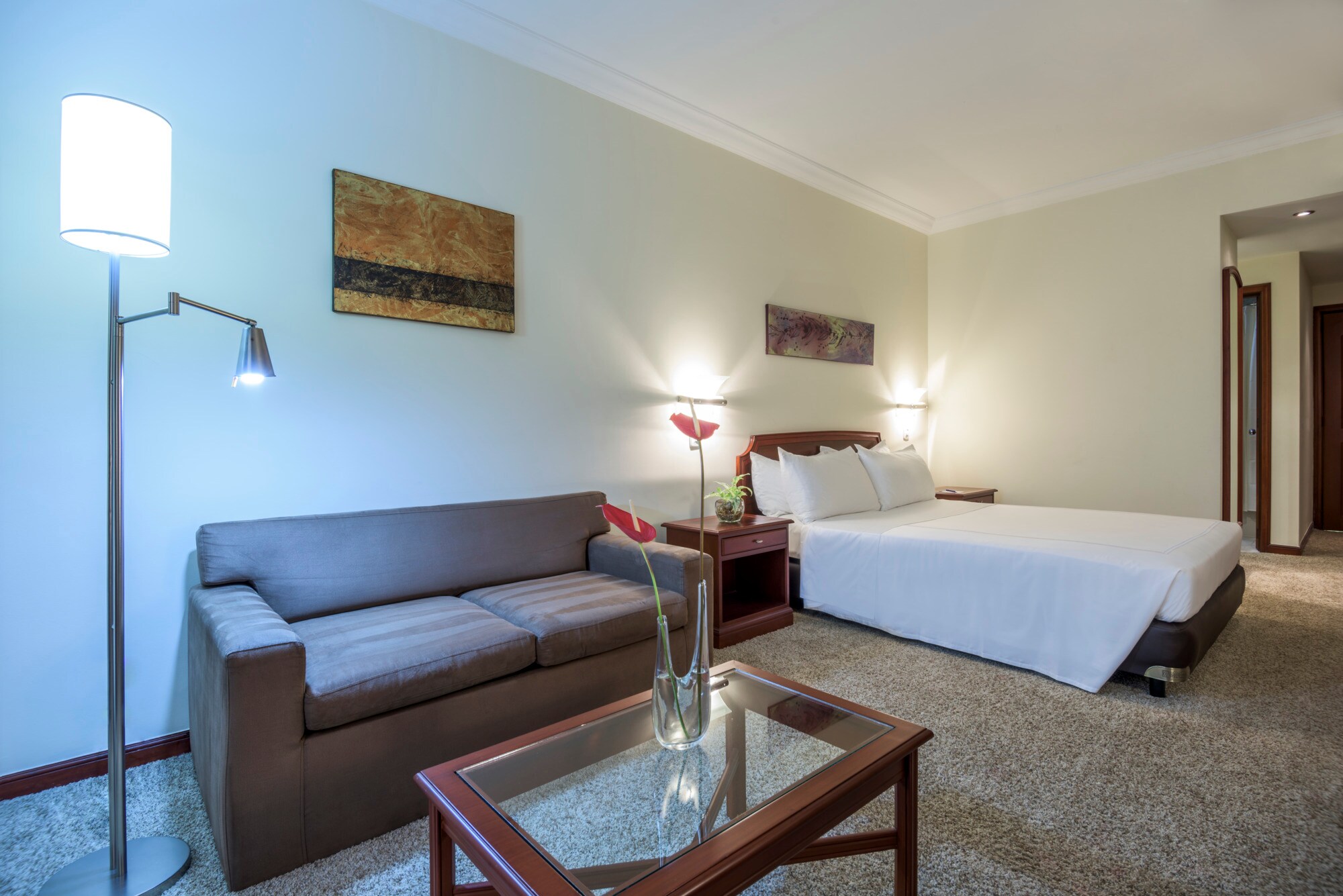 Room Camera Premium