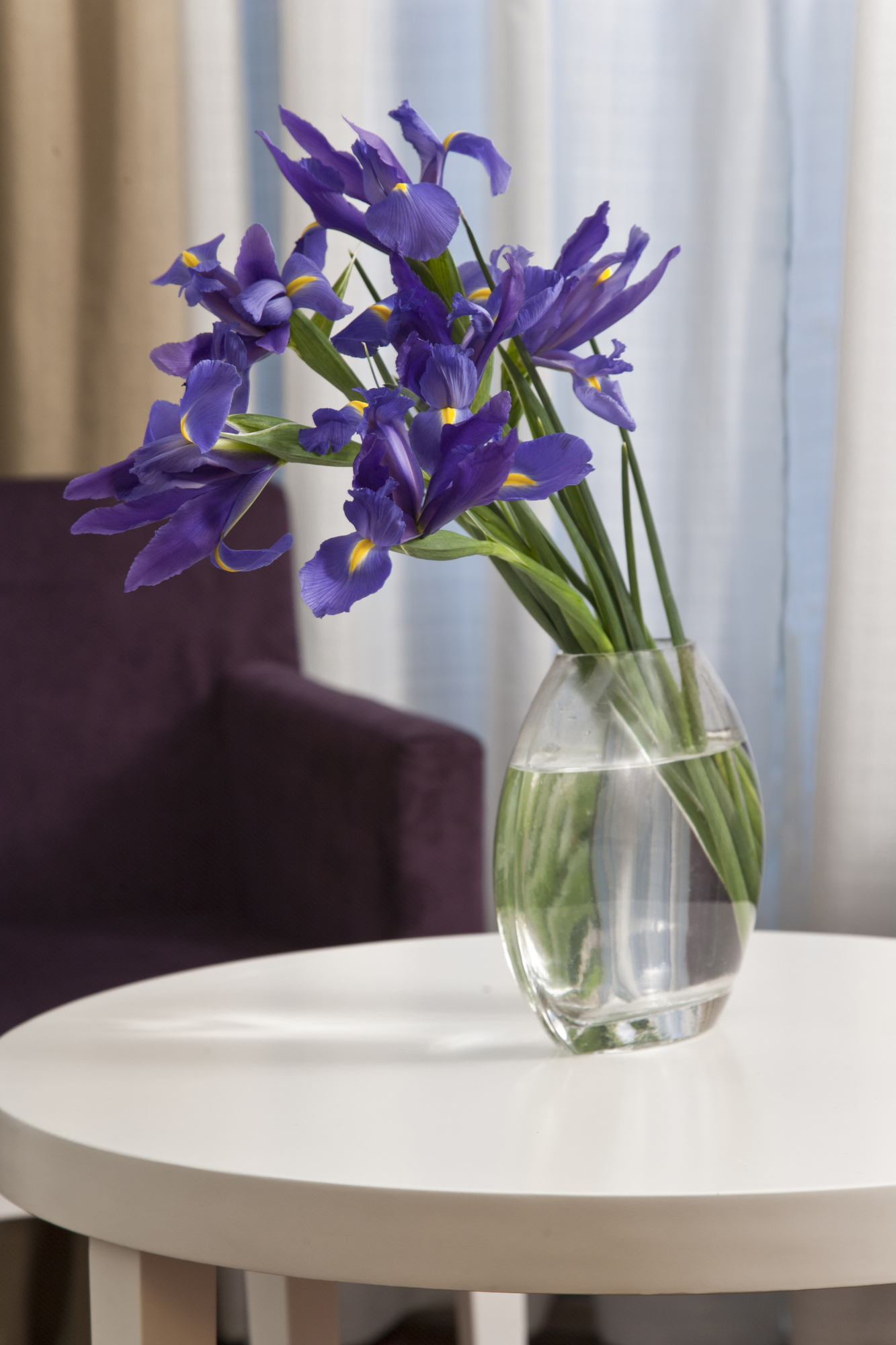 Photo - NH Buenos Aires Florida