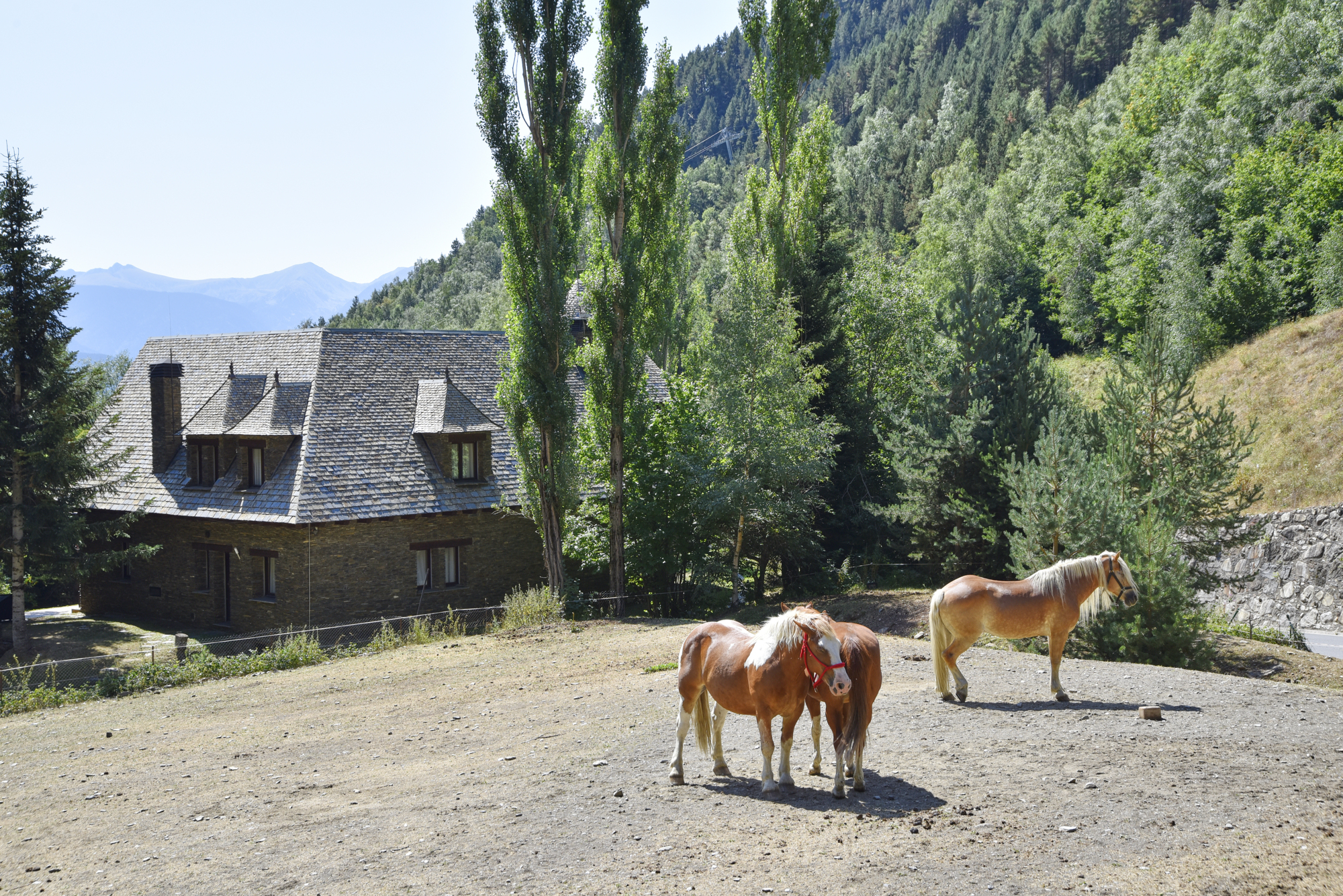 Photo - NH Collection Andorra Palomé