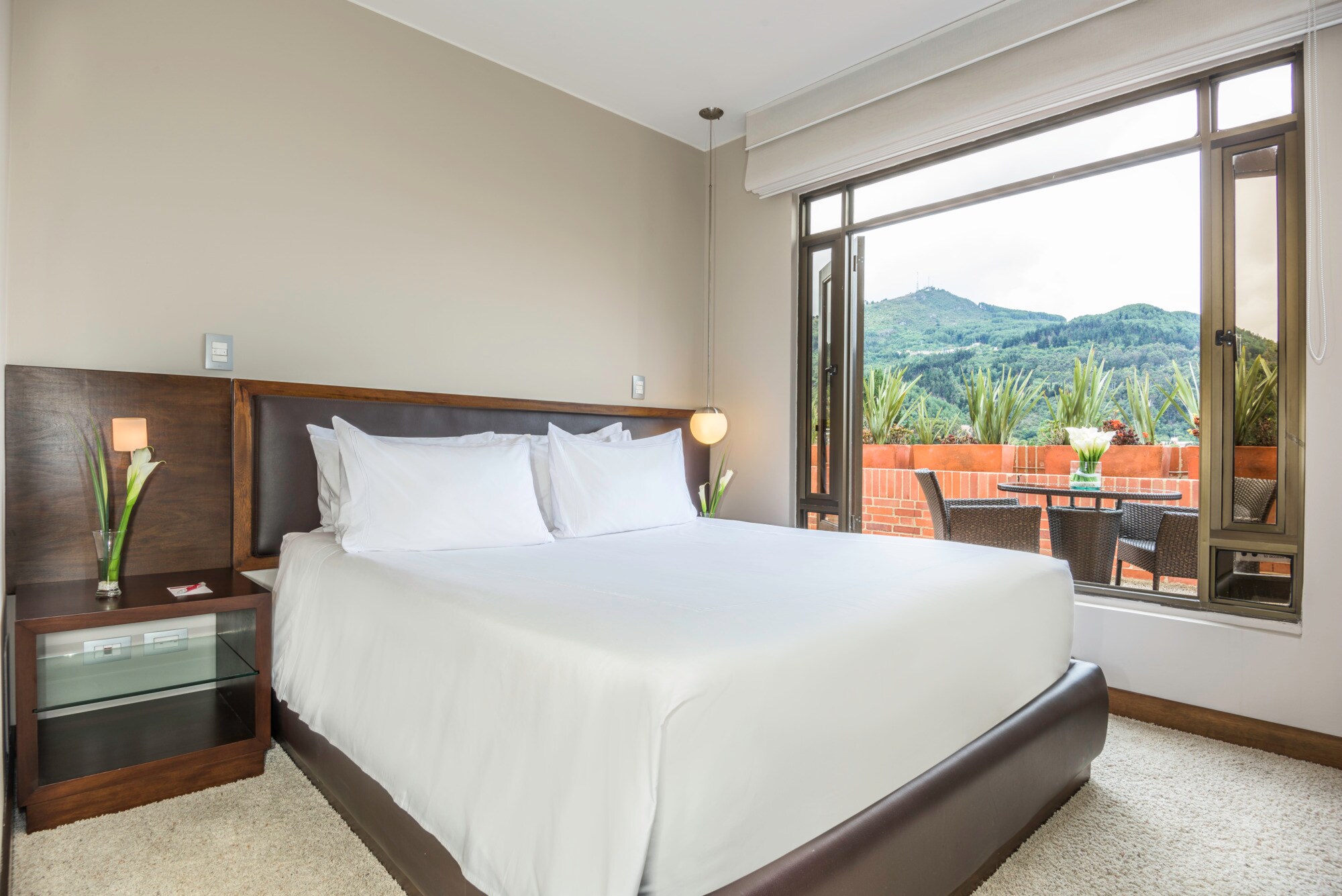 Room Junior Suite avec Terrasse