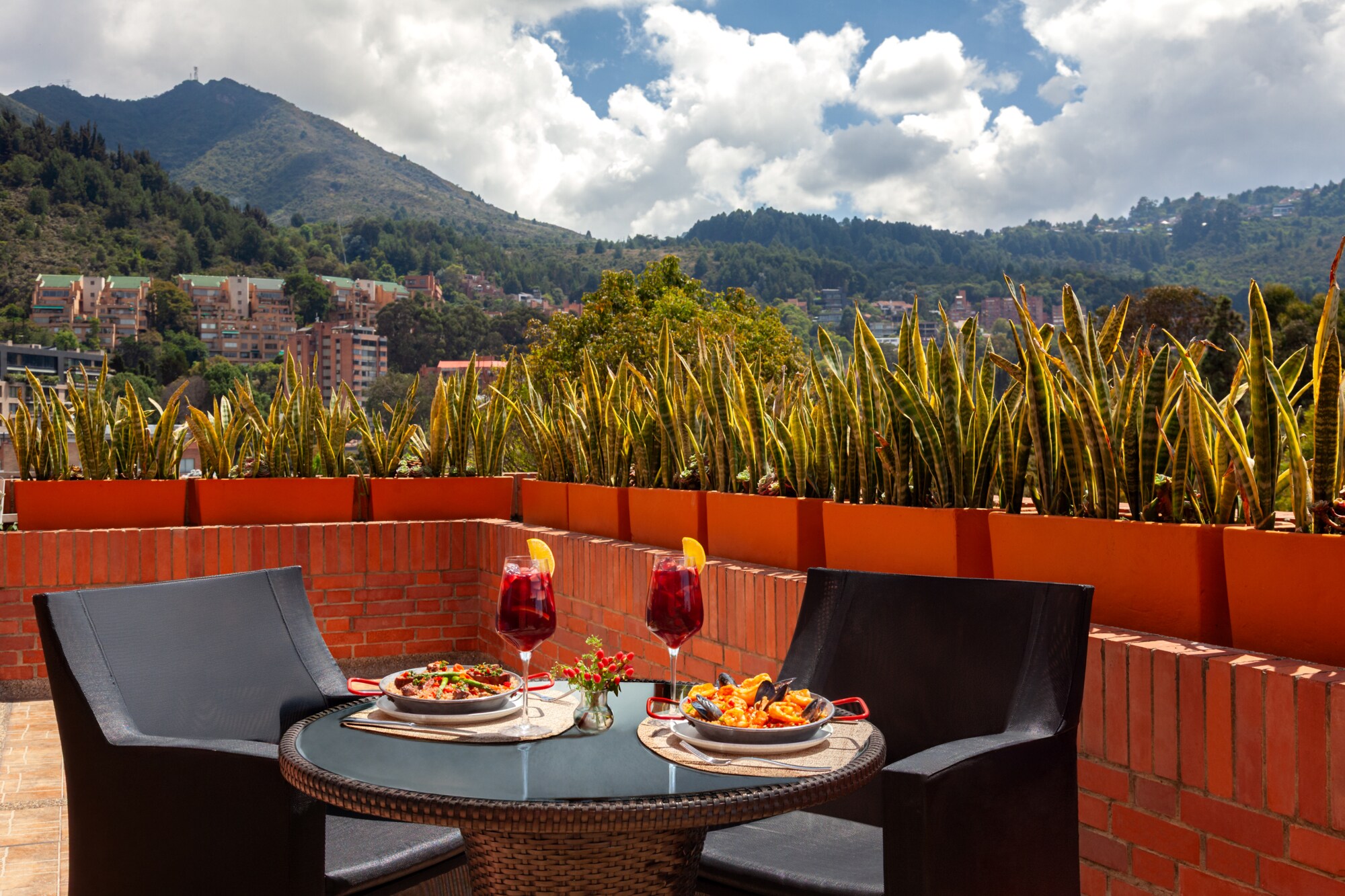 Room Junior Suite avec Terrasse