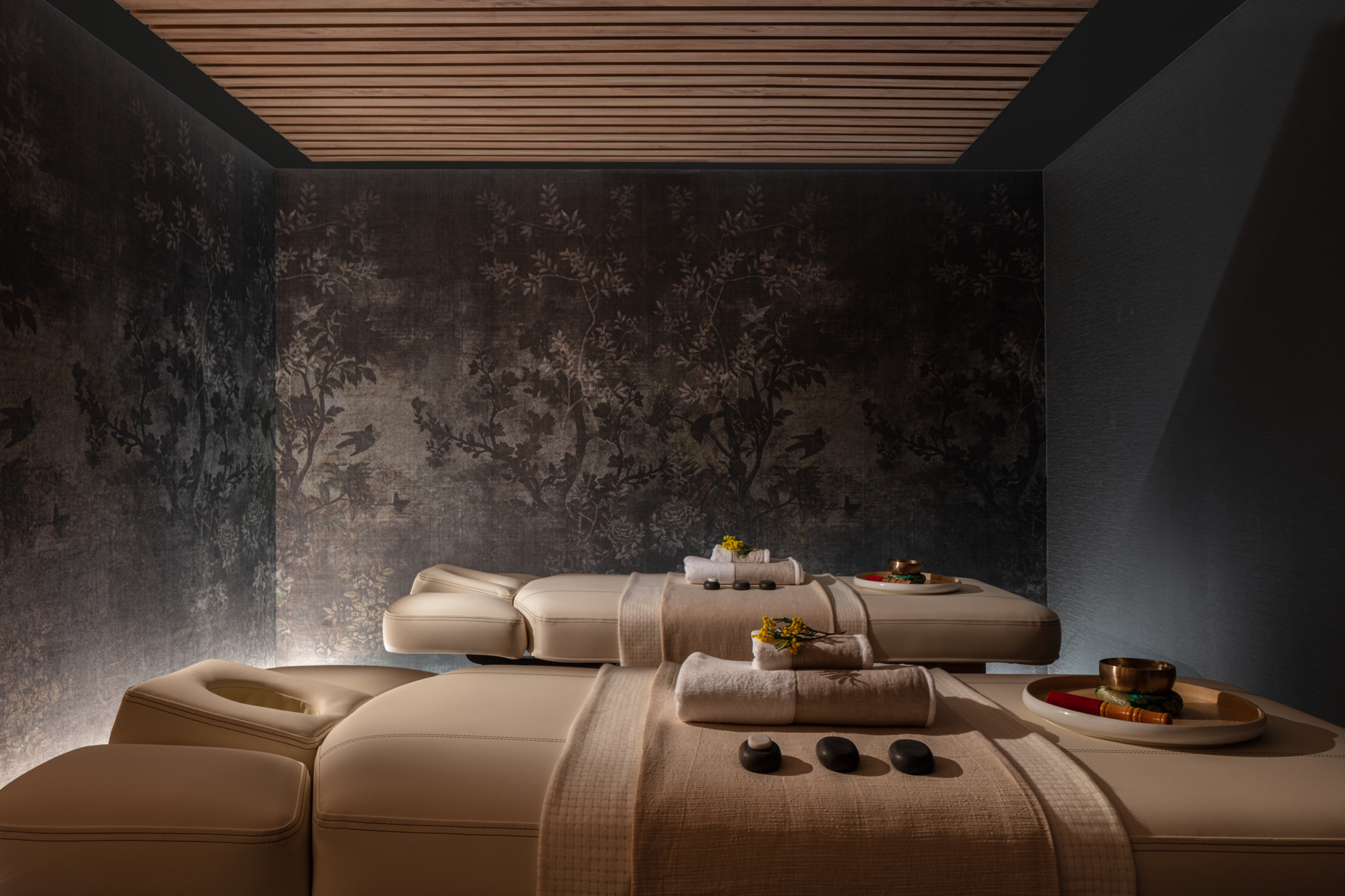 Photo - Anantara Plaza Nice Hotel - A Leading Hotel of the World