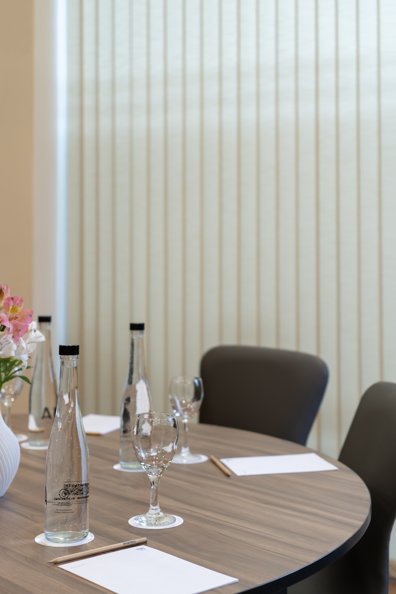 Photo - NH Mendoza Cordillera