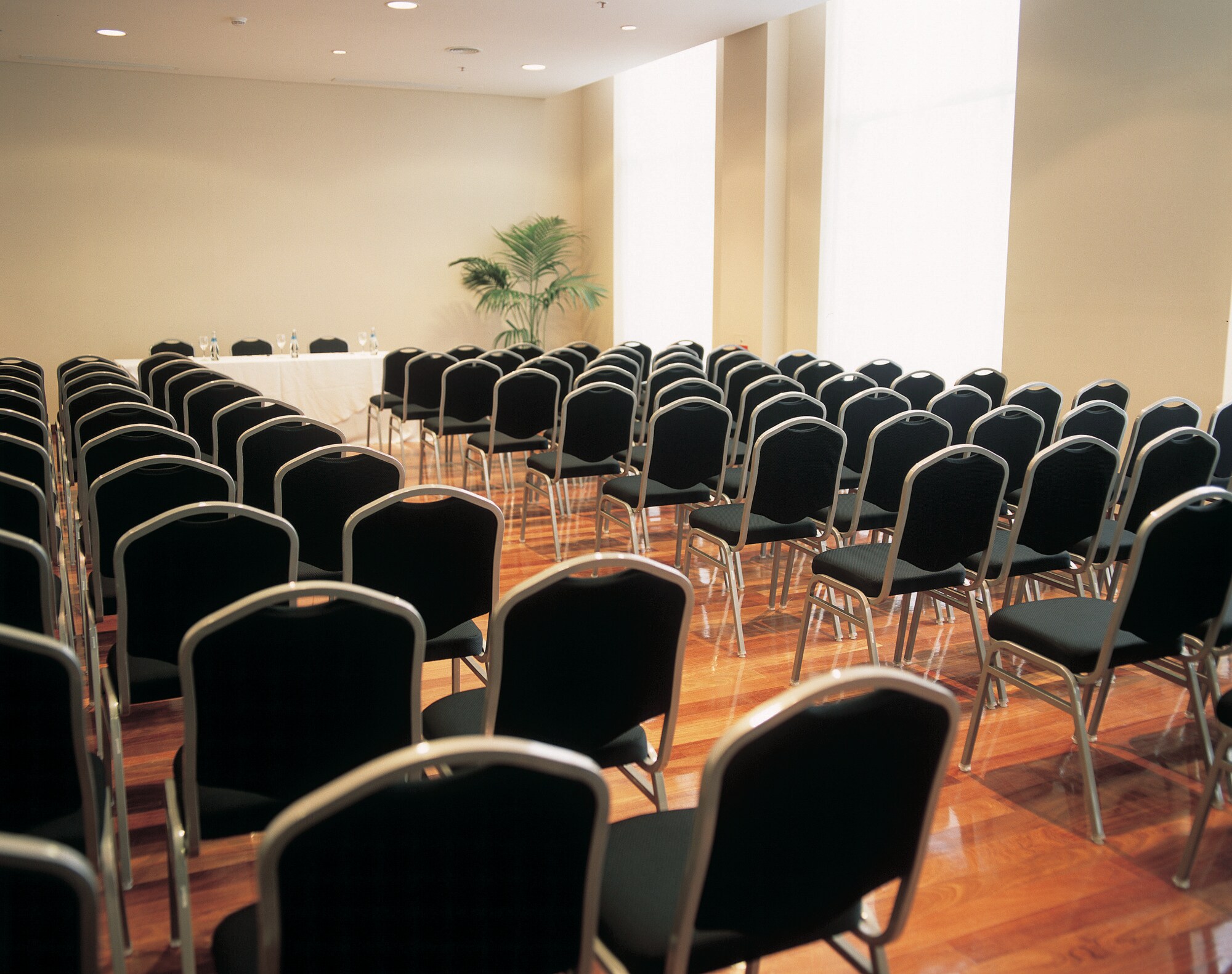  NH Mendoza Cordillera