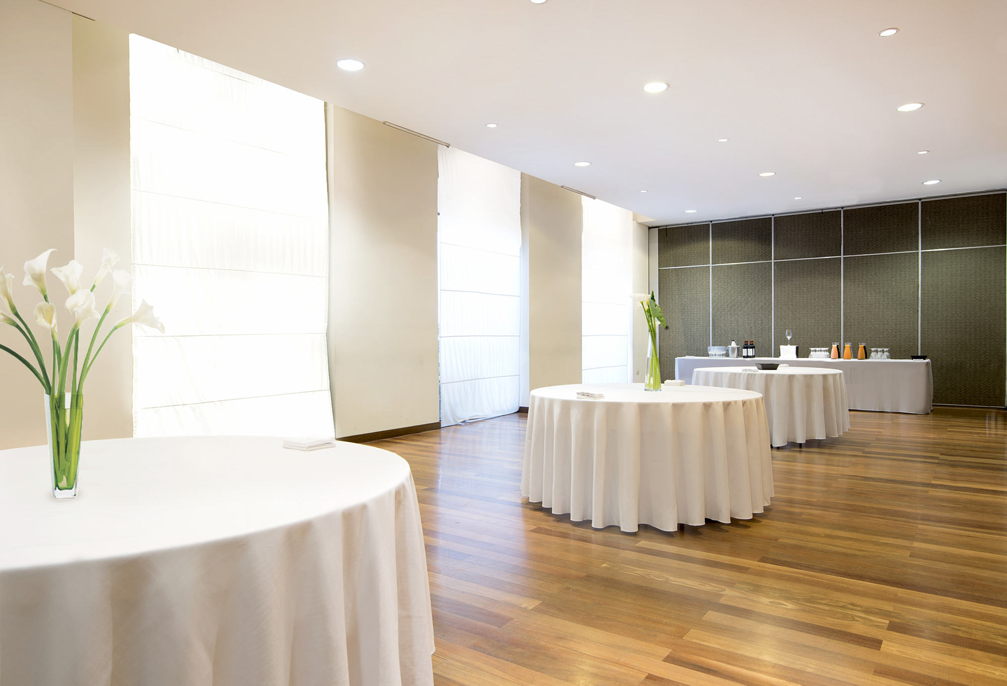 Foto - NH Mendoza Cordillera