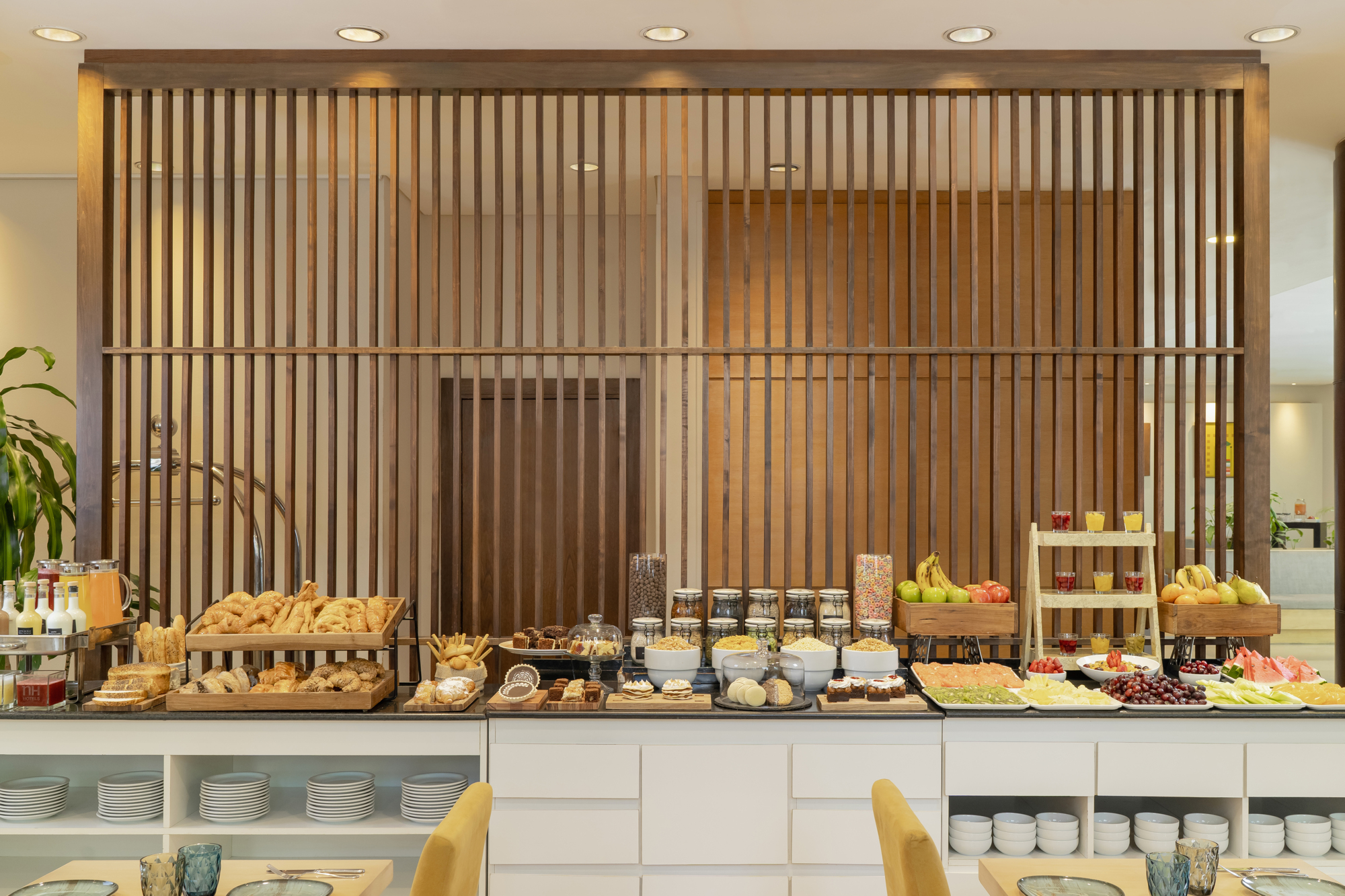 Photo - NH Mendoza Cordillera