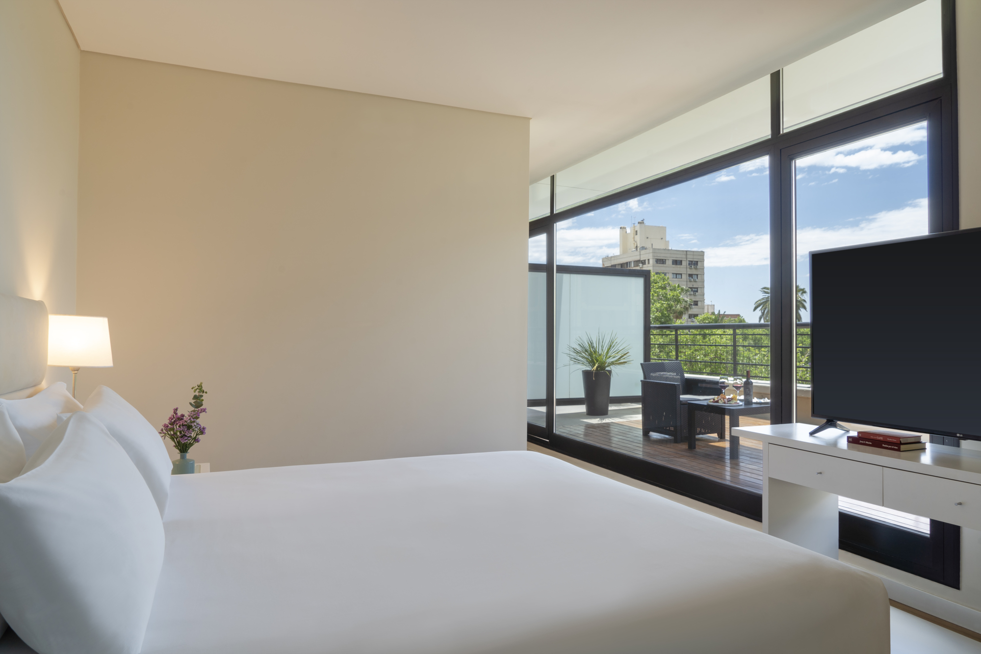 Photo - NH Mendoza Cordillera