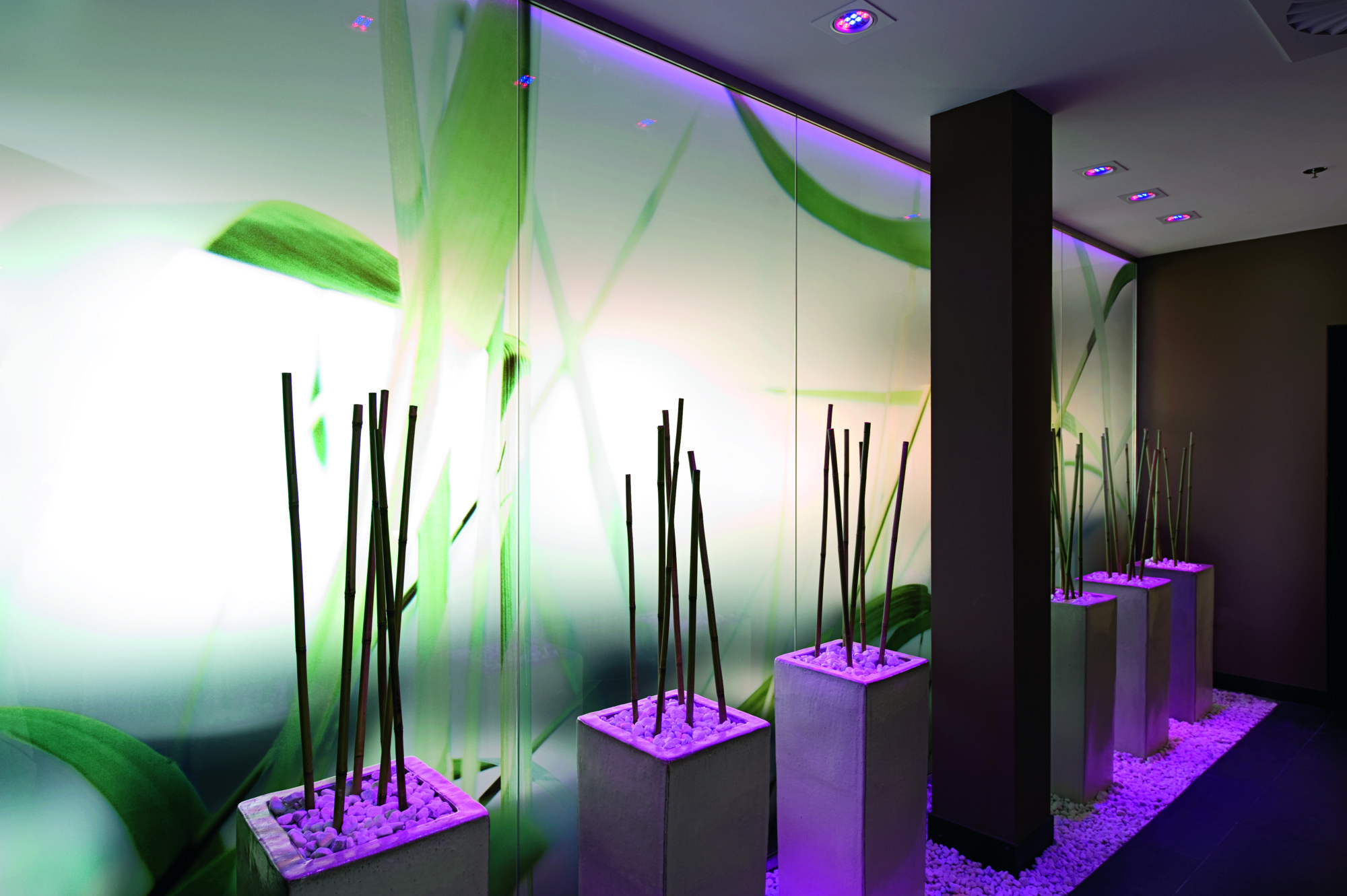 Foto - NH Collection Dresden Altmarkt