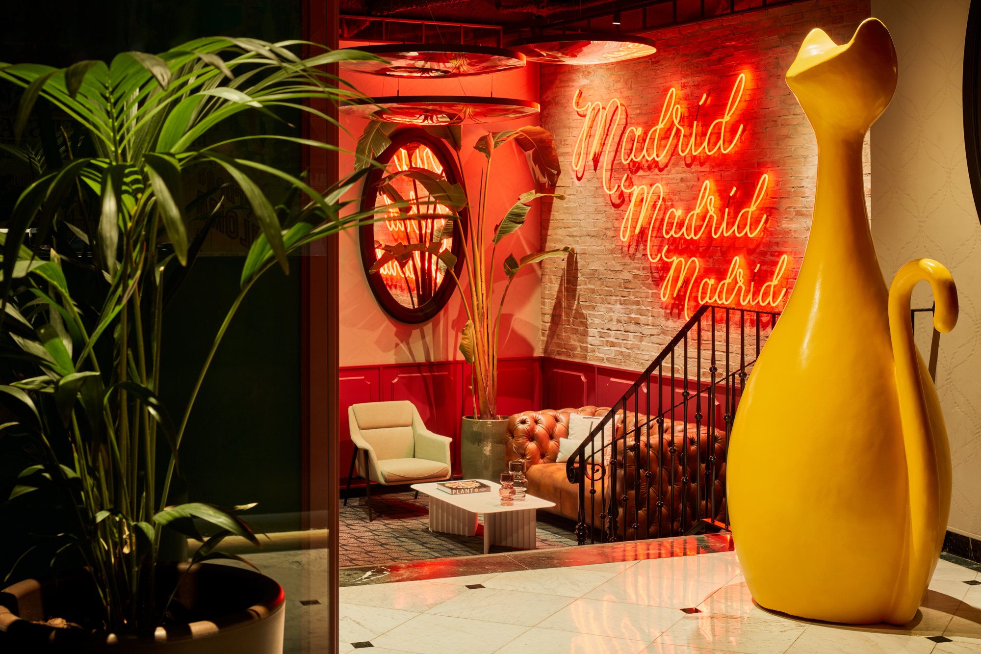 Photo - Avani Alonso Martinez