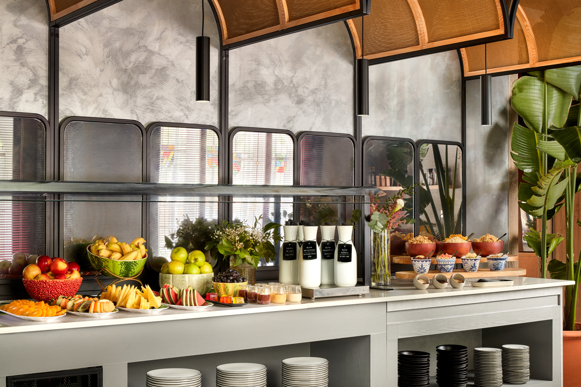 Photo - Avani Alonso Martinez