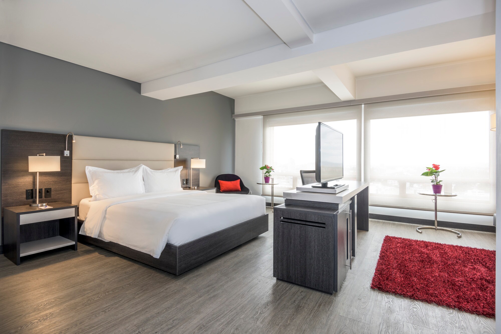 Room Junior Suite met Terras