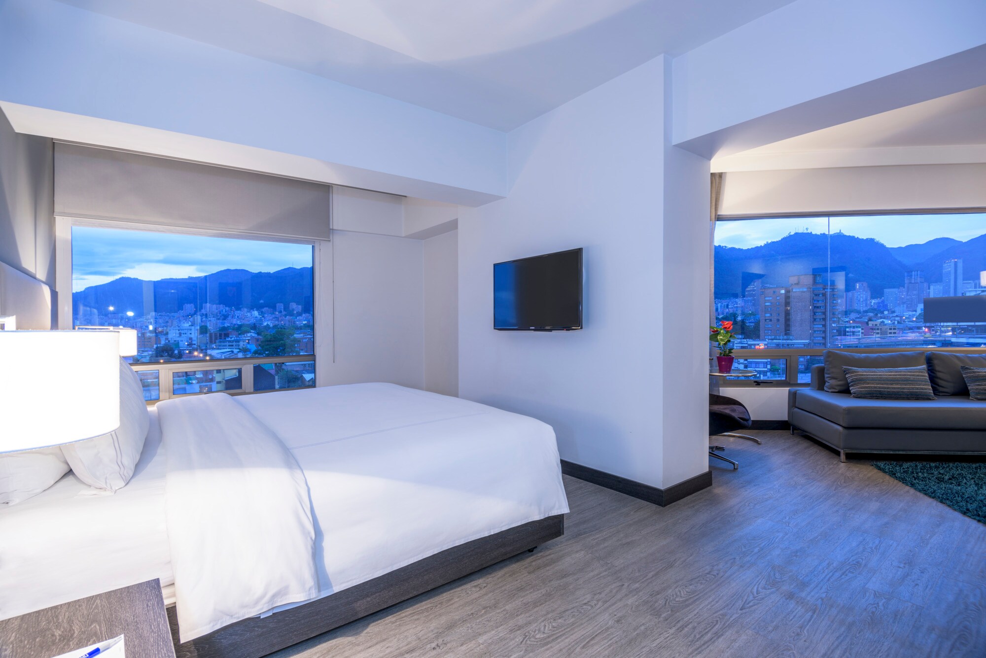 Room Junior Suite