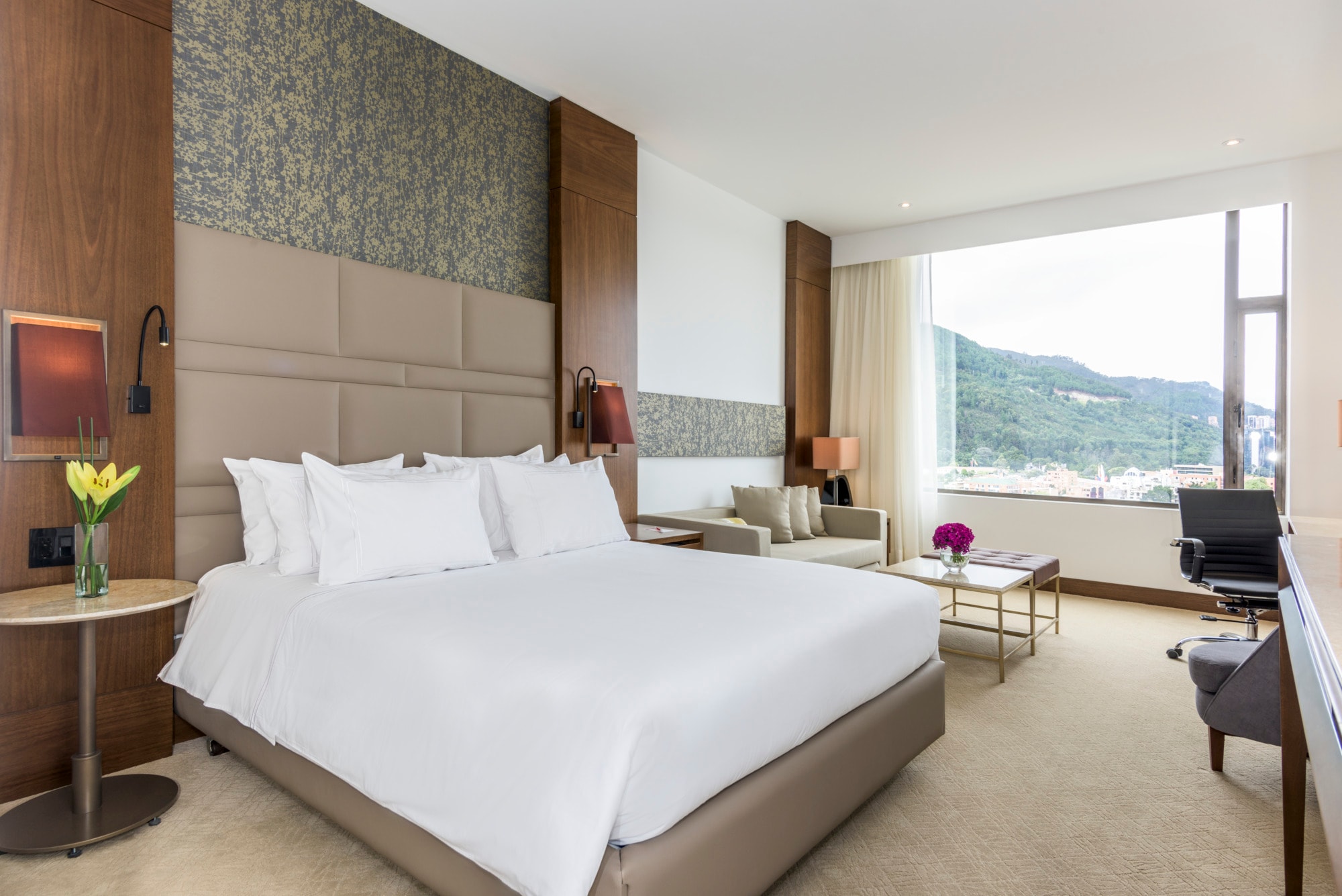 Room Habitación Superior con vista