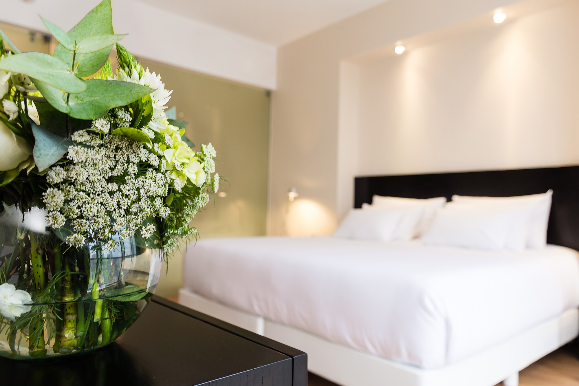 Room Suite