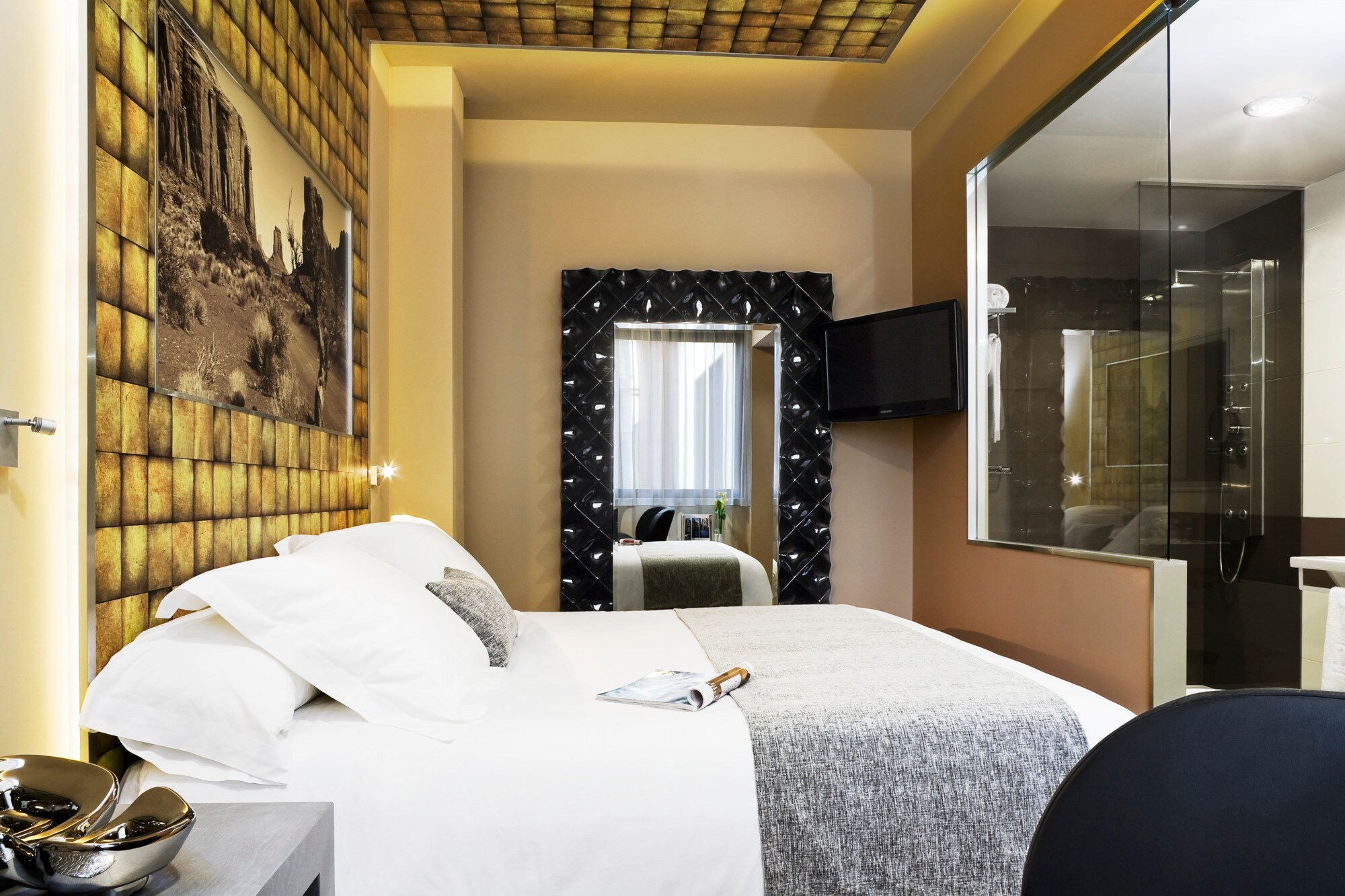 Room Camera Standard