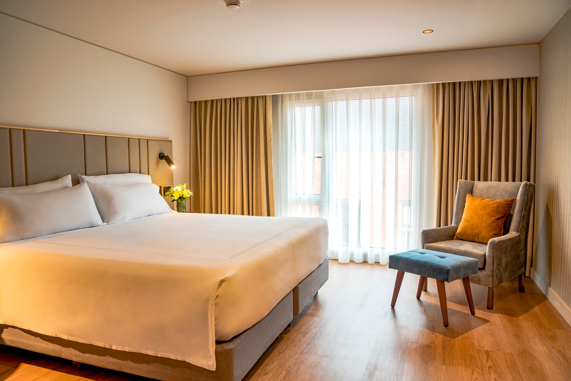 Room Junior Suite with Terrace