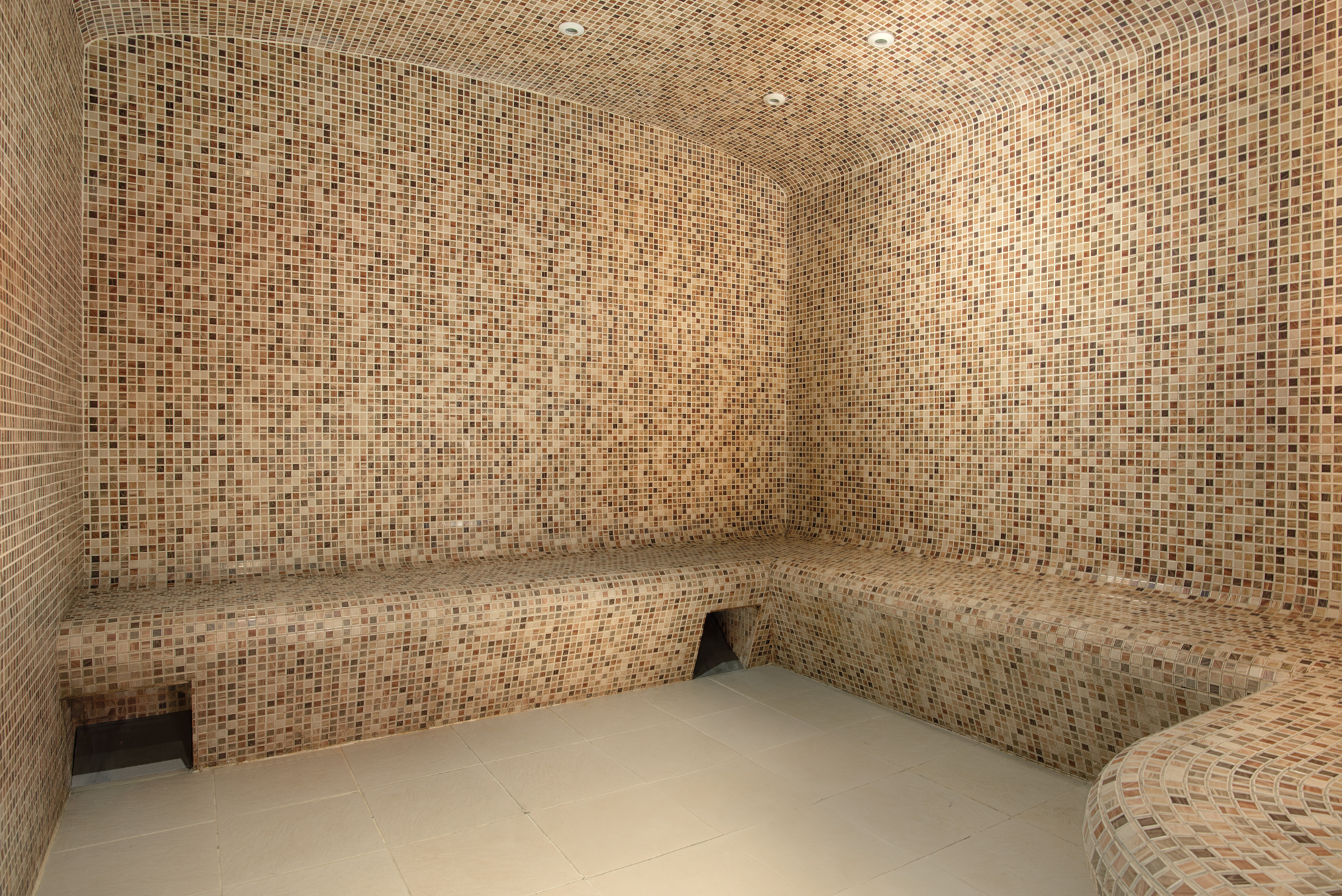 Photo - NH Lyon Airport