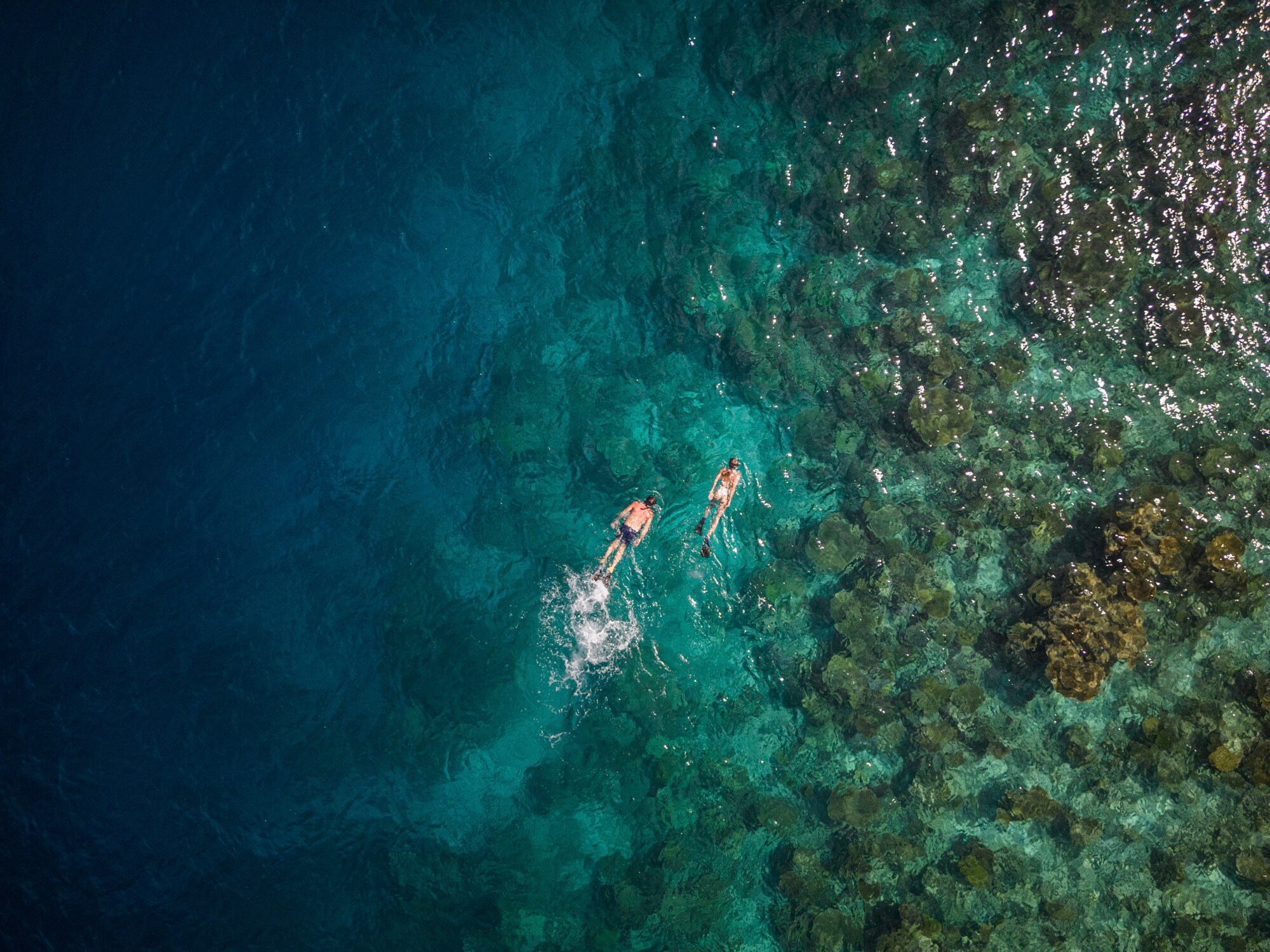  NH Collection Maldives Havodda Resort