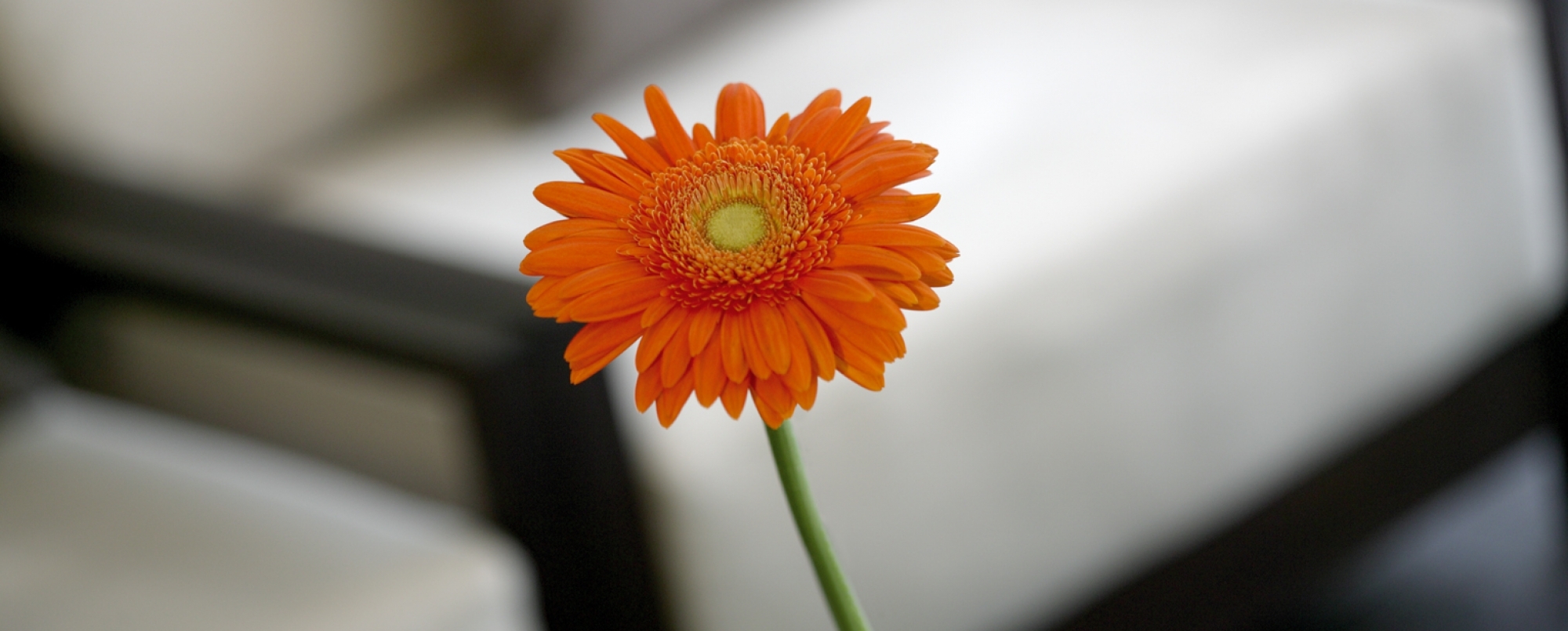 Foto - NH Düsseldorf Königsallee