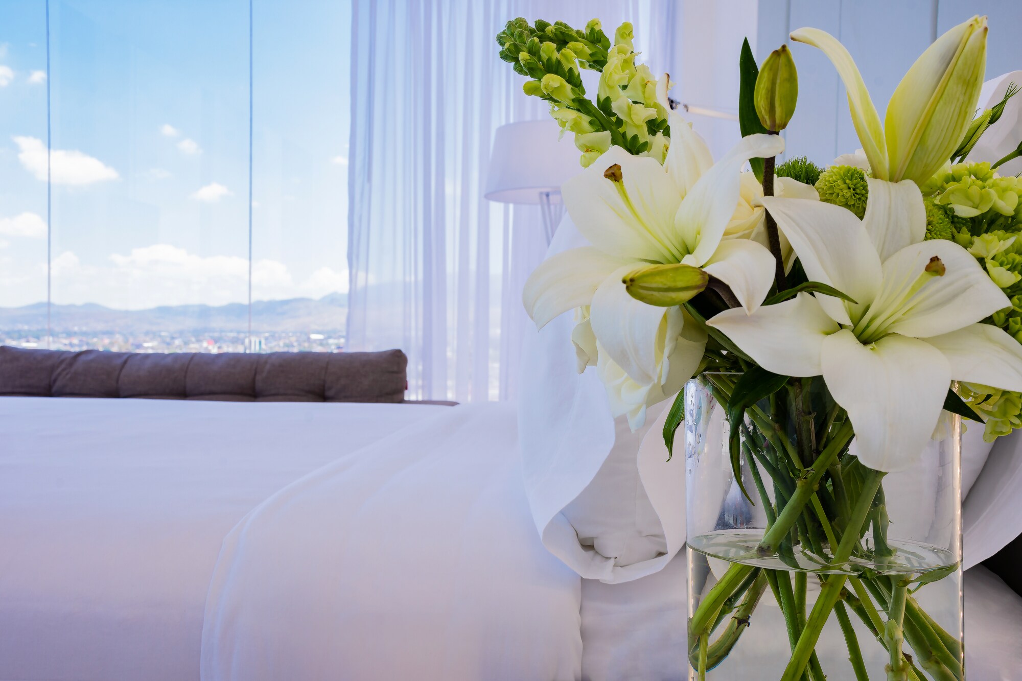 Room Standard XL Room